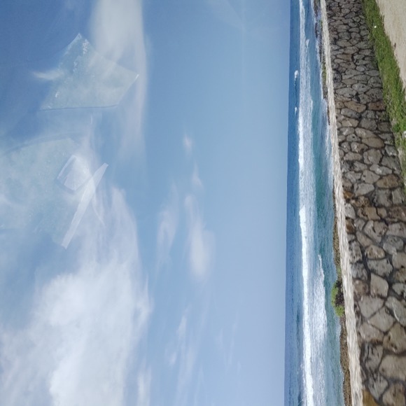 joan_norman